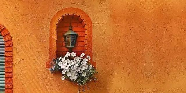 裝修好了美美的陽臺該選什么花呢？