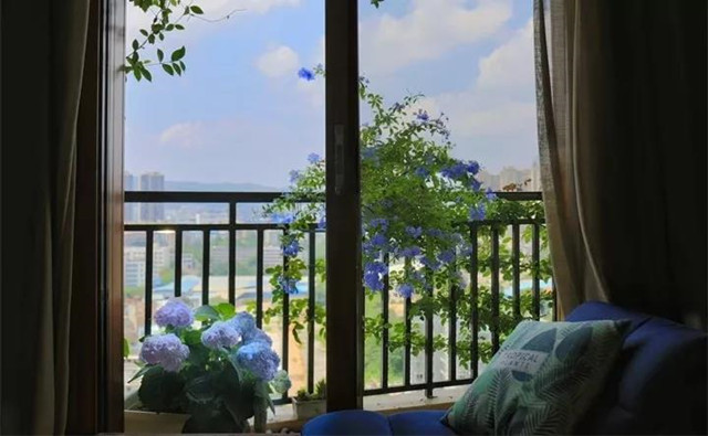 裝修好了美美的陽臺該選什么花呢？