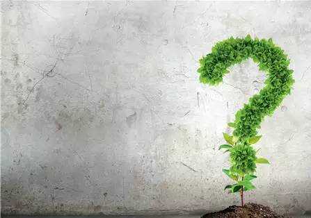 家中綠植你真的知道該怎么選嗎