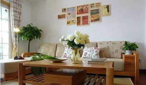 家中綠植你真的知道該怎么選嗎