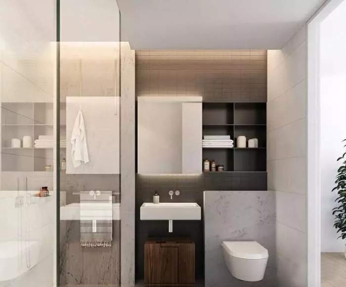 衛(wèi)生間再大，馬桶“周邊”莫浪費！瞧年輕人都這樣裝，實用省空間