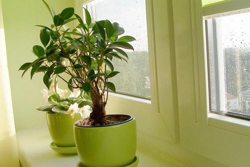 畸零角落別浪費(fèi) 巧妙設(shè)計(jì)華麗變身 畸零角落別浪費(fèi) 巧妙設(shè)計(jì)華麗變身